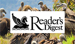 RDwriting